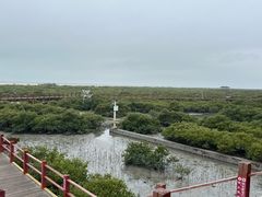 -北海金海湾红树林生态旅游区