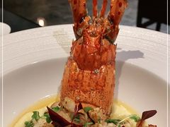 -圣丰索菲特·法国餐厅