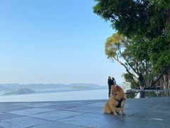 -大埔公路-马料水段香港中文大学(公交站)