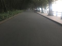 -大湾区中央湿地公园