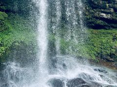 -龙苍沟森林公园