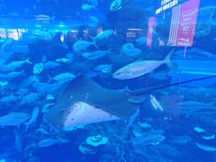 -成都浩海立方海洋公园