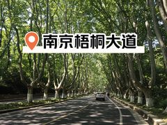-刘长兴(卫岗店)