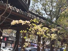 -坂田手造文化街