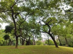 -晓港公园