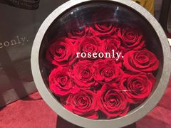 -ROSEONLY诺誓(青岛万象城店)