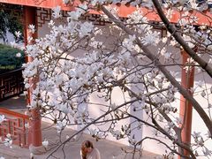 -堤角公园