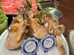 -东海怡品海鲜豆捞(舟宿夜江店)