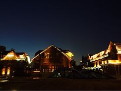 海河英迪格酒店-天津津利华酒店