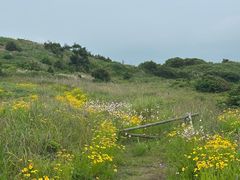 -涉地可支