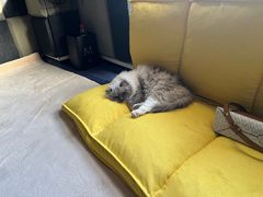 -零纪元VR体验馆·桌游(黄浦店)