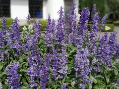 -上海市浦东新区浦东殡仪馆