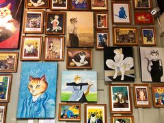 -猫咪博物馆(顶澳仔猫街店)