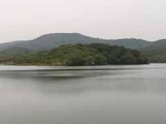-佛手湖郊野公园
