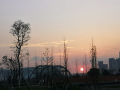 -白鹭湾湿地公园