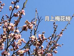 -无锡梅园公园