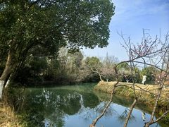 -西溪国家湿地公园