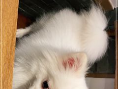 -小菜园新徽菜(合肥瑶海万达店)