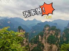 -业华湘·特色菜