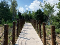 -白水寺森林公园