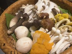 -紫滇源云南生态菜(丹凤街店)