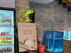 -饭怕鱼(阳光100店)