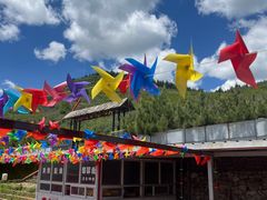 -空中草原
