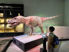 -香港科学馆