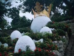 -100蛋泥浆浴
