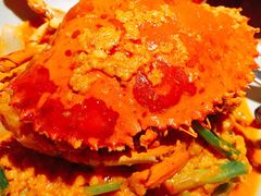 -瓦城泰国料理(芮欧百货店)