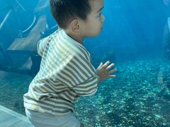 -天津湾西餐厅(三亚海棠湾洲际度假酒店)