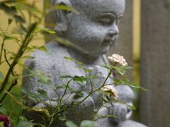 -常州天宁禅寺