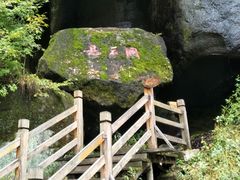 -望天鹅景区