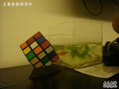 DSC01001-桔子酒店(南京新街口张府园地铁站店)