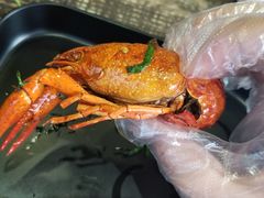 -赤甲皇(仙霞路店)