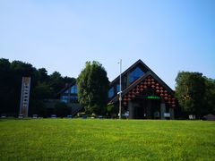 -铁山坪森林公园