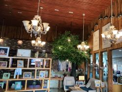 -WPlus明星肖像亲子全家福摄影