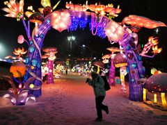 -沈阳奥体冰雪嘉年华