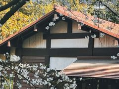 -中国茶叶博物馆(双峰馆区)