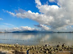 -深圳湾公园(南山区)
