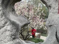 -无锡梅园公园
