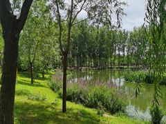 -东郊湿地公园