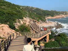 -广东惠东海龟国家级自然保护区