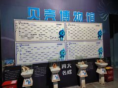 -贝壳梦幻世界