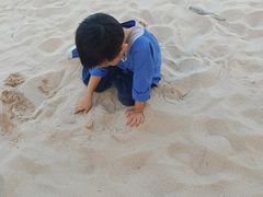 -宜兴龙背山森林公园