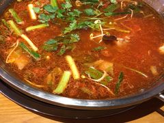 -新凯里酸汤鱼(飞山街店)