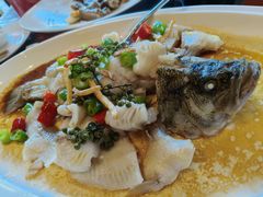 -顺德了能馆(虎门店)