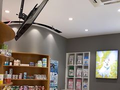 -关爱宠物医院·猫科中心·消化科(滨湖万达分院)