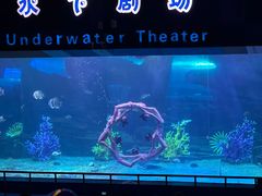 -泉城欧乐堡海洋极地世界