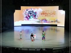-重庆国际马戏城